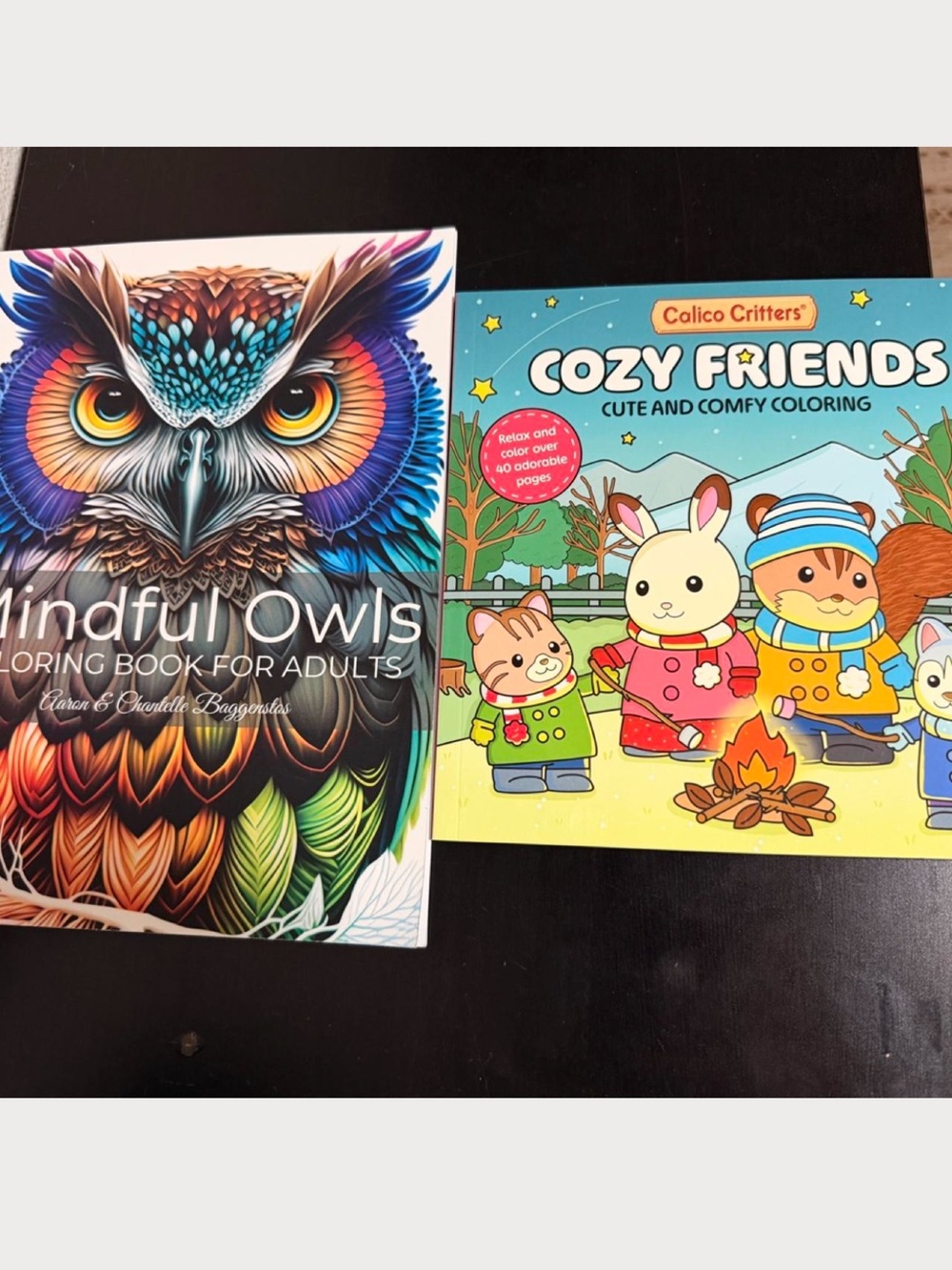 Mindful Owls & Cozy Friends Coloring Book Bundle for adults